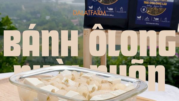 Hướng Dẫn Cách Làm Bánh Ô long Nhài Nhãn Chuẩn Vị Thơm Ngon Tại Nhà