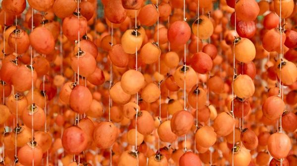 Hồng Treo Gió Cầu Đất Và Cách Làm Hồng Treo Gió Tại Nhà