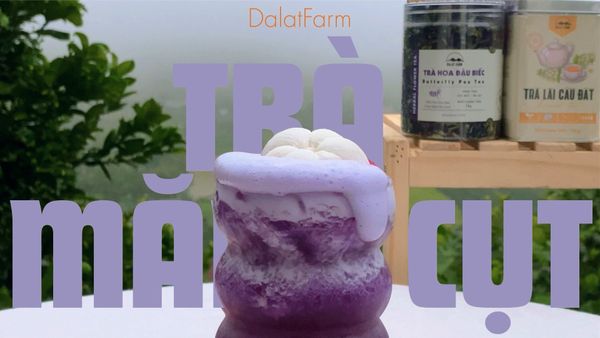 Cách Làm Trà Măng Cụt Thơm Ngon Tại Nhà