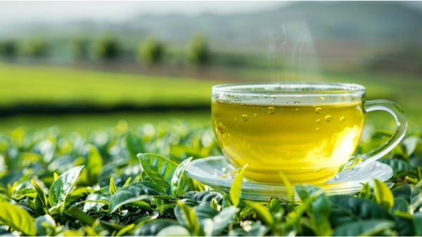 Công Dụng Của Trà Xanh. Liều lượng Tối Ưu Cho Sức Khỏe