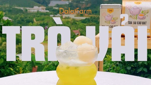 Trà vải Thanh Mát Cho Mùa Hè, Cách Pha Trà Vải Chuẩn Vị Đơn Giản Tại Nhà