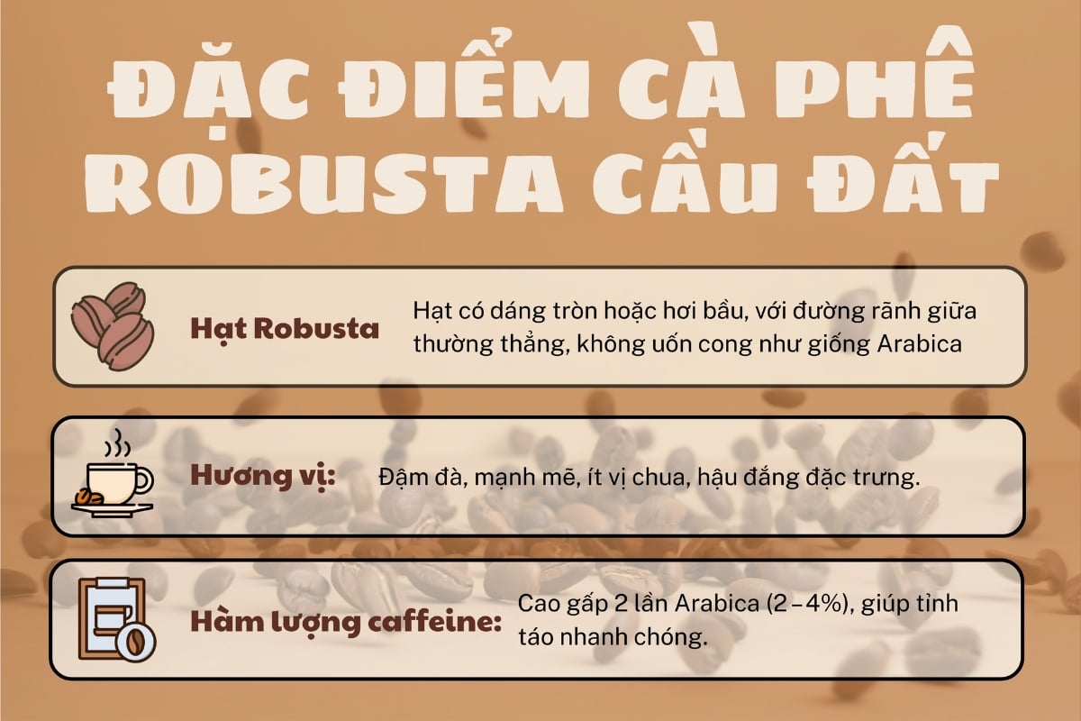 cà phê robusta