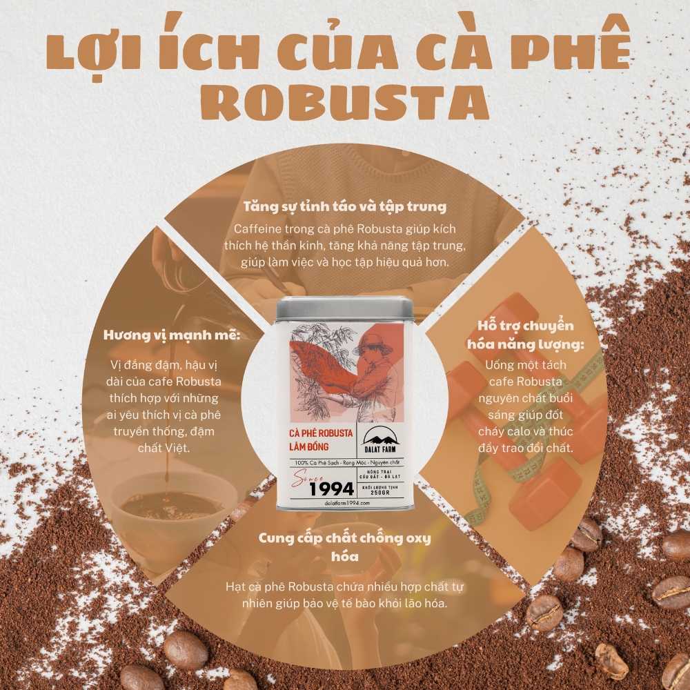hạt cà phê robusta