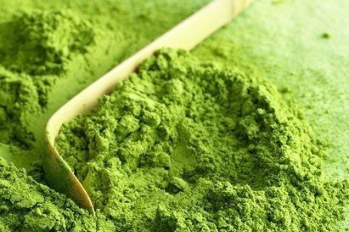 matcha là trà xanh