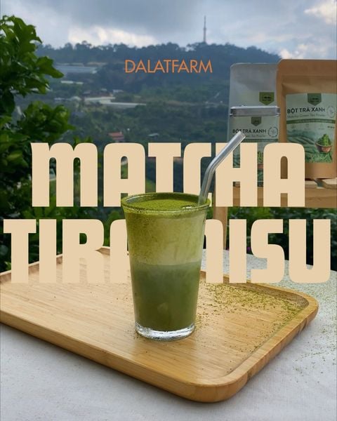 Tiramisu Matcha