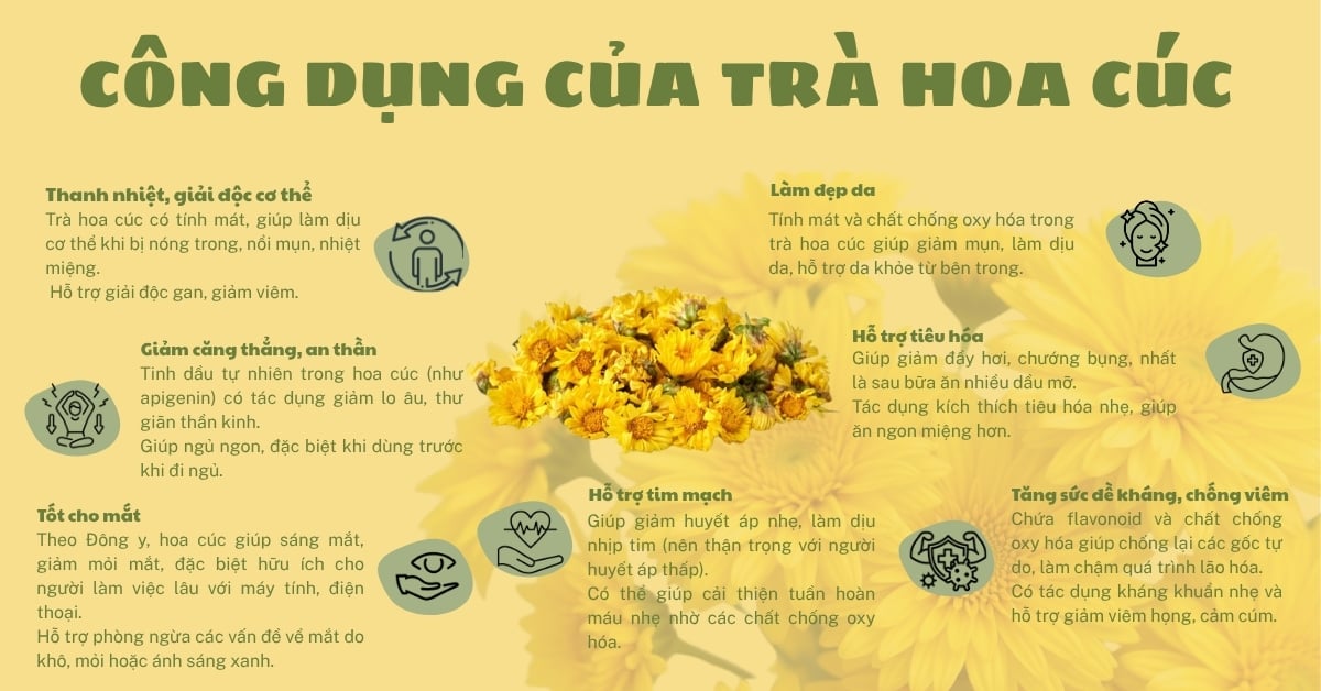 Trà hoa cúc có tác dụng gì
