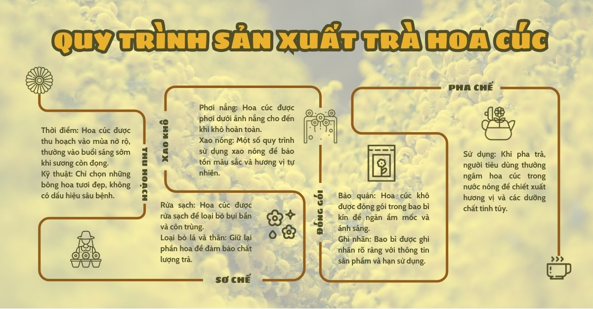 Trà hoa cúc mua ở đâu