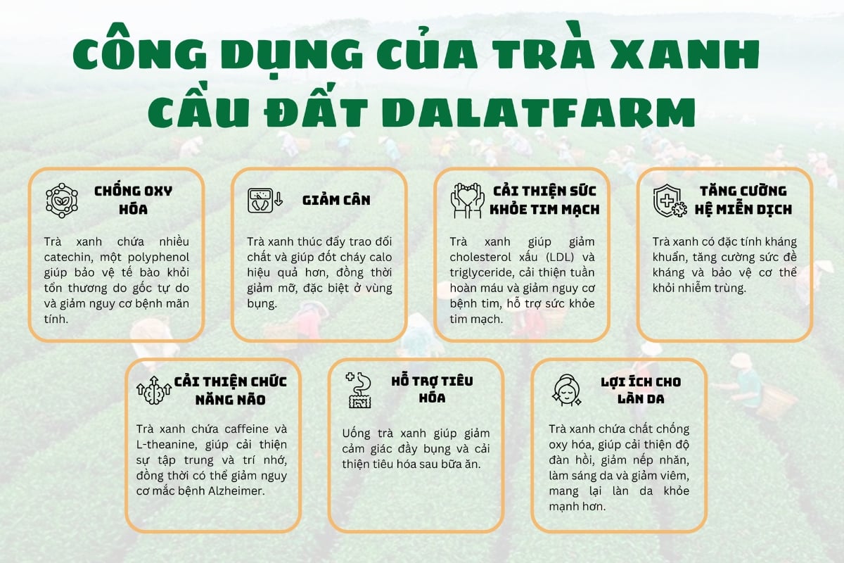 trà xanh có tác dụng gì