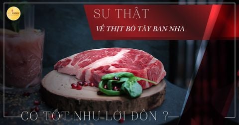 SỰ THẬT VỀ THỊT BÒ TÂY BAN NHA CÓ TỐT NHƯ LỜI ĐỒN ?