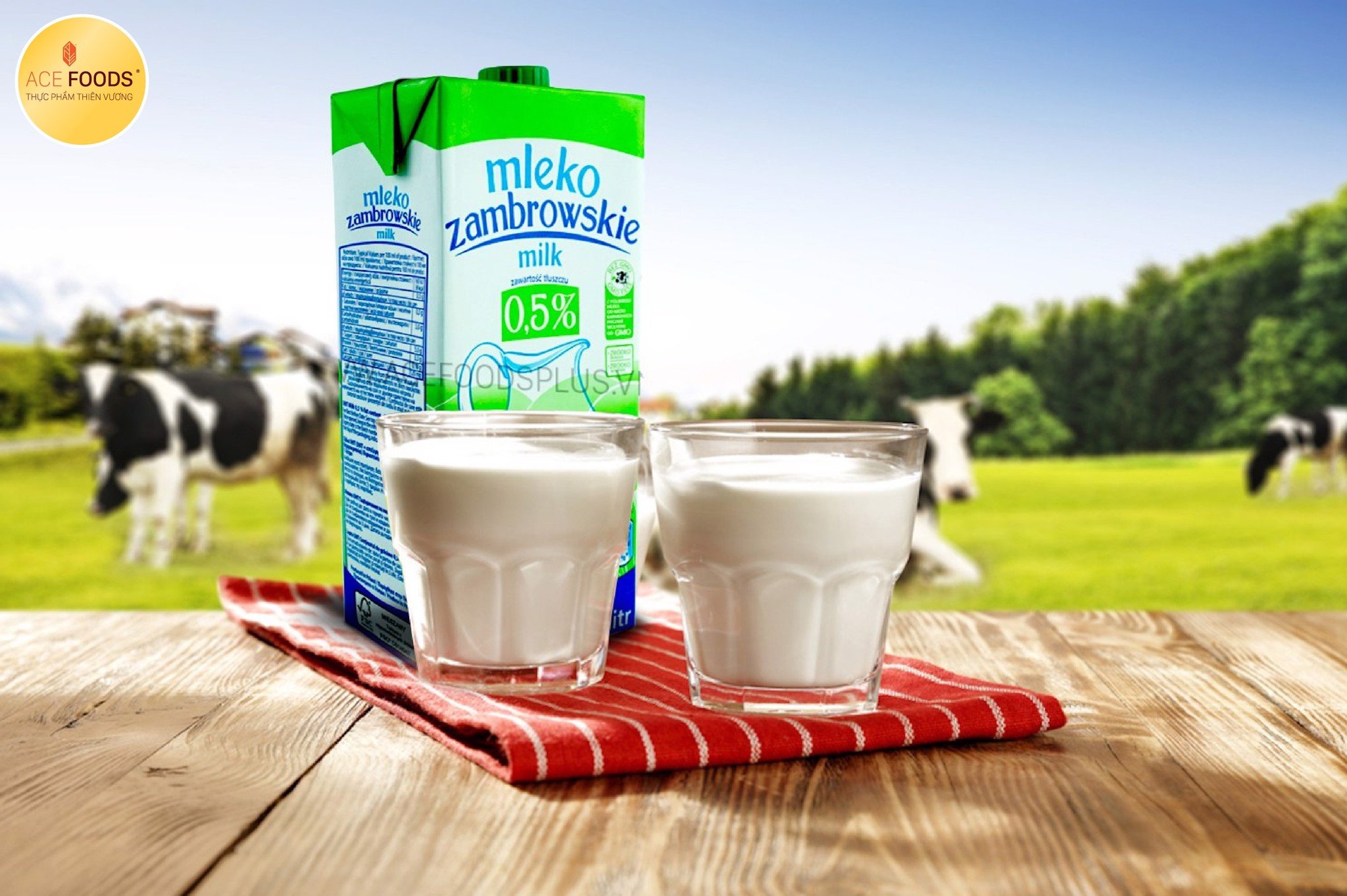 Làm sữa chua từ sữa tươi nguyên kem Mleko Zambroskie sẽ ngậy và ngon hơn