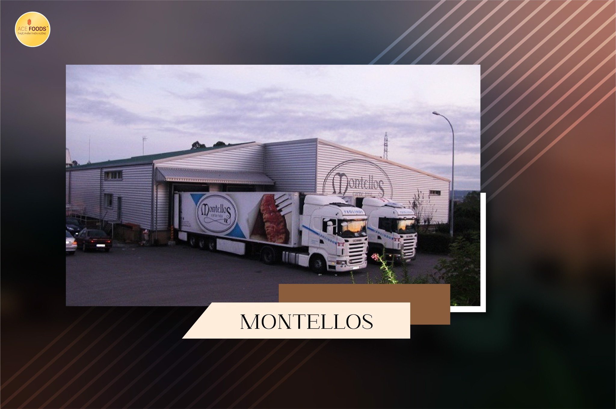 Nhà máy Montellos - Tây Ban Nha chuyên sản xuất thịt bò, thịt cừu, thịt bê