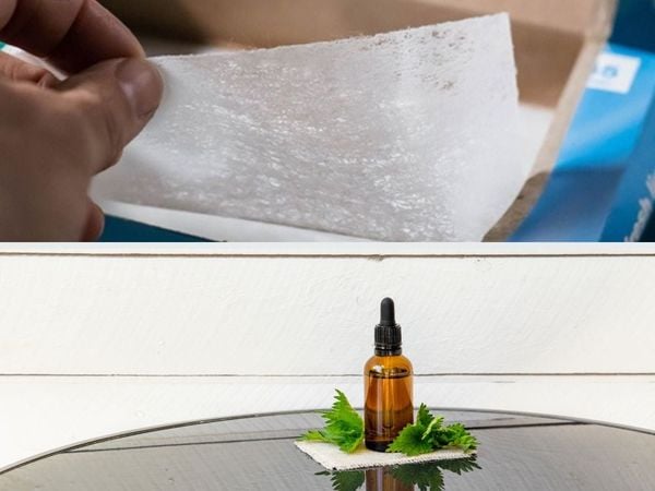 Cách khử mùi hôi giày nhanh nhất với giấy hút ẩm và tinh dầu thơm dễ chịu