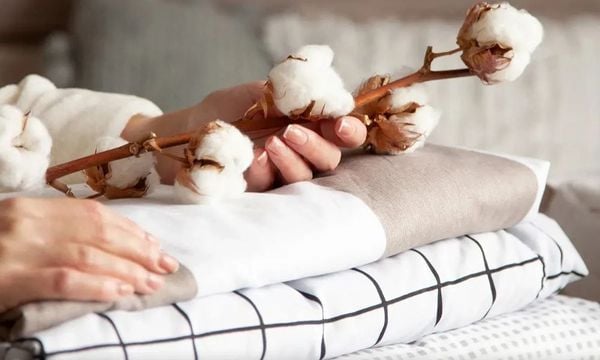 Nguồn gốc vải cotton