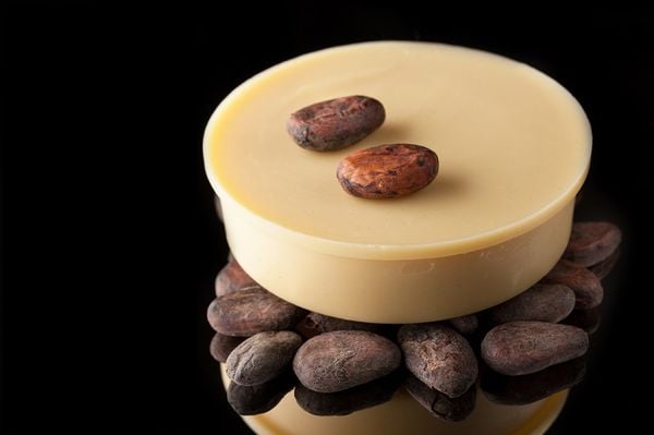 Bơ cacao chất béo hữu cơ nguyên chất từ hạt cacao