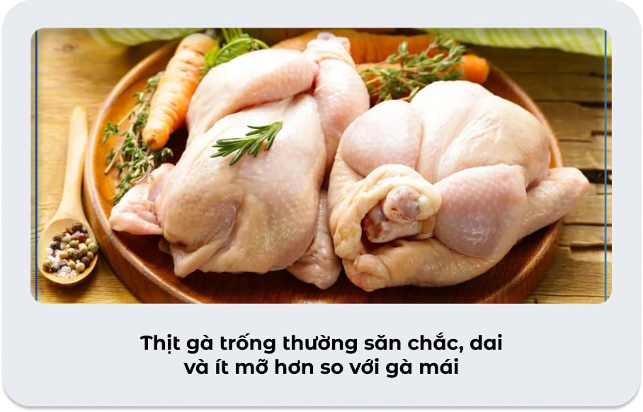 Toàn Tập Cách Chọn Gà Ta Ngon (Gà Sống & Làm Sẵn)