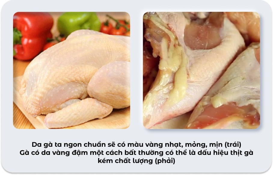 Toàn Tập Cách Chọn Gà Ta Ngon (Gà Sống & Làm Sẵn)
