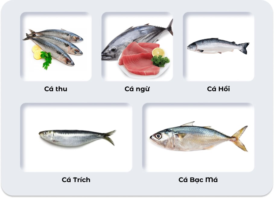 Đừng Mua Cá Biển Nếu Chưa Biết 5+ Cách Phân Biệt Và Chọn Cá Tươi Này