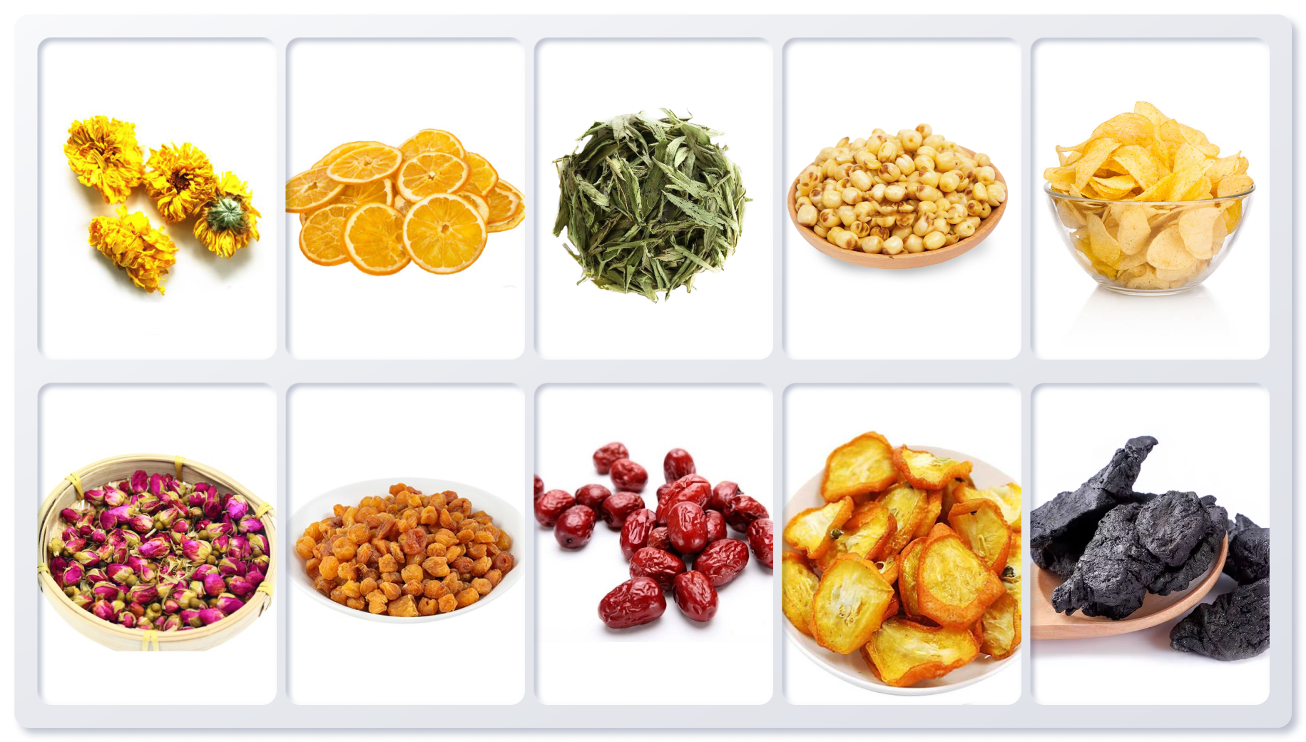 Máy Sấy Thực Phẩm Giá Tốt: Sấy khô thịt, trái cây, rau củ quả – United Vision