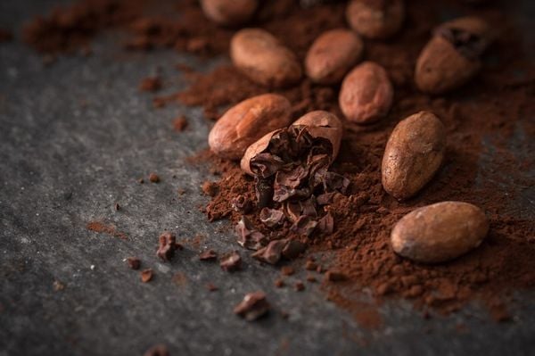 Bột cacao càng tốt - Socola càng ngon
