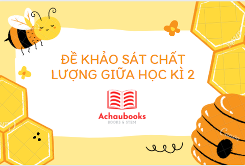 Đề khảo sát chất lượng Giữa học kì 2