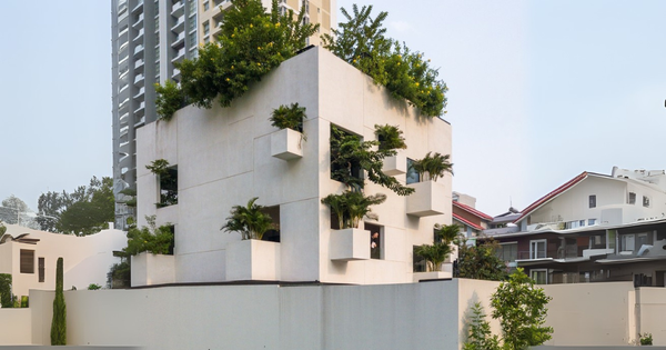 Sky House | Hòa Mình Cùng Thiên Nhiên Giữa Lòng Thành Phố