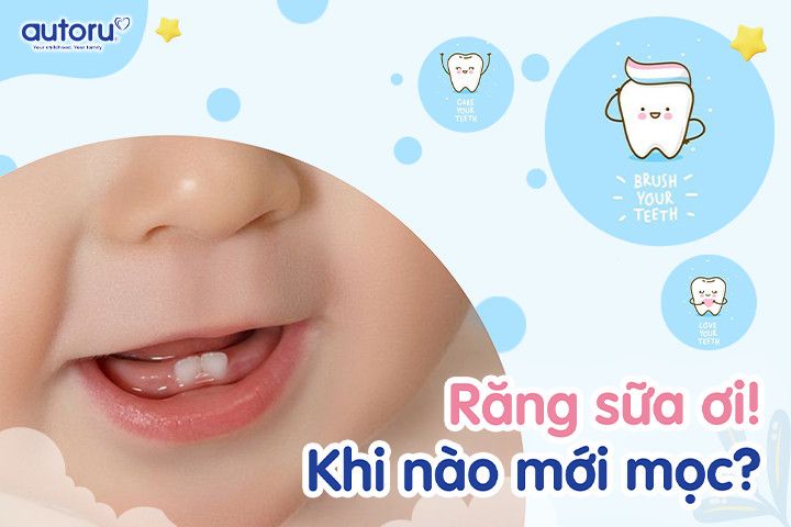 Răng sữa ơi! Khi nào mới mọc?