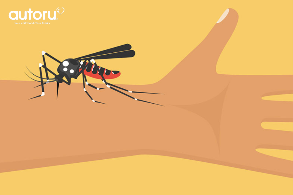 Muỗi đốt chính là nguồn cơn chính gây nên sốt xuất huyết
