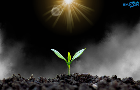 remove assistive reader