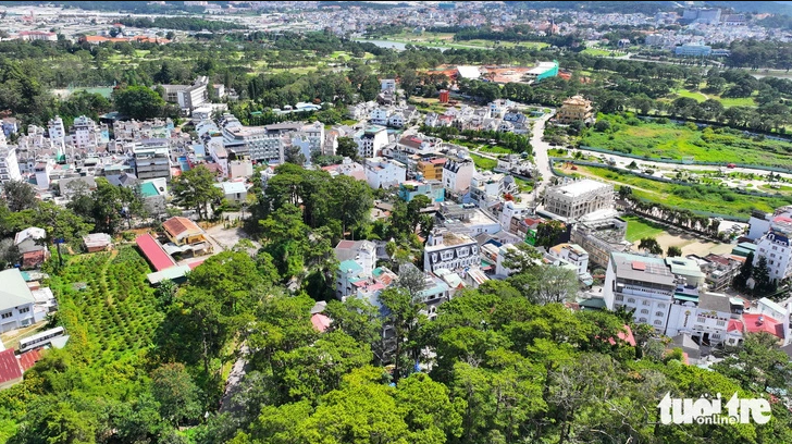 Bộ Công an yêu cầu Lâm Đồng, Quảng Ngãi, Đắk Lắk cung cấp hồ sơ dự án cây xanh đô thị