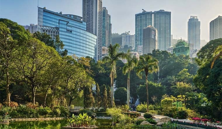 Dịch vụ cho thuê và chăm sóc Cây xanh khu đô thị