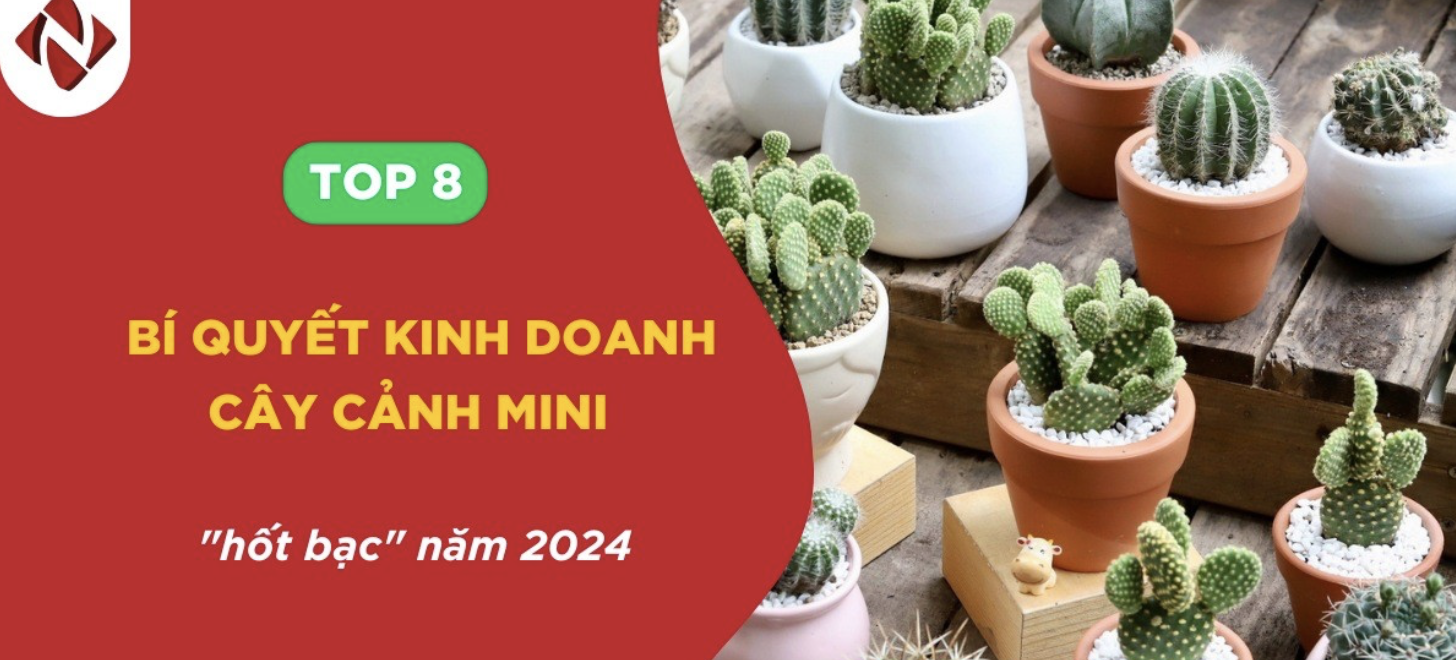 TOP 8 bí quyết kinh doanh cây cảnh mini 