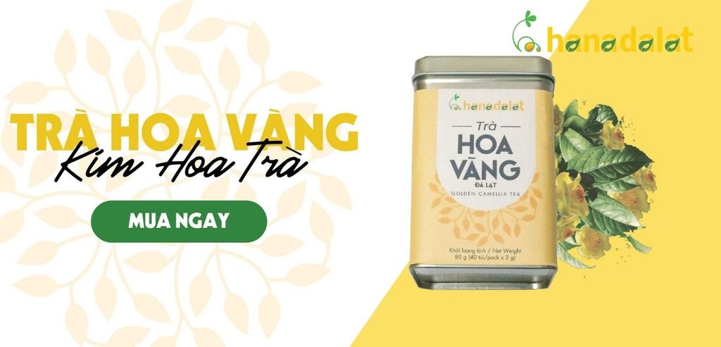 NGỪA UNG THƯ BẰNG TRÀ HOA VÀNG