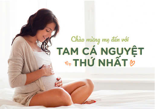 Chế độ dinh dưỡng trong tam cá nguyệt đầu tiên