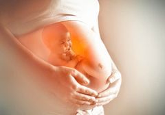 Sự phát triển của thai nhi vào những tháng cuối thai kì