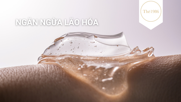 Ngăn ngừa quá trình lão hóa ở da