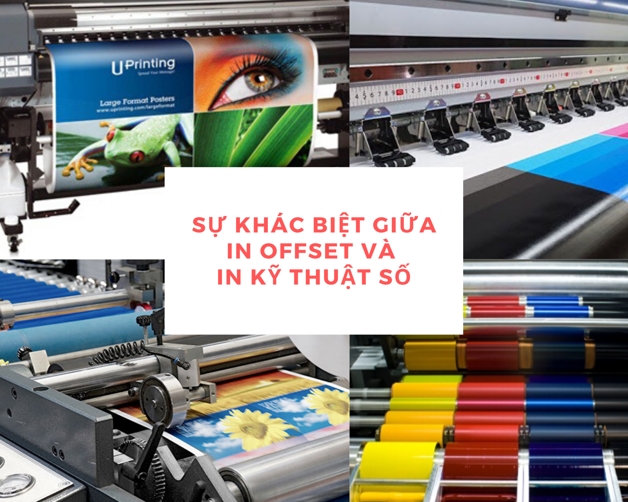 Sự khác biệt giữa in offset và in kỹ thuật số