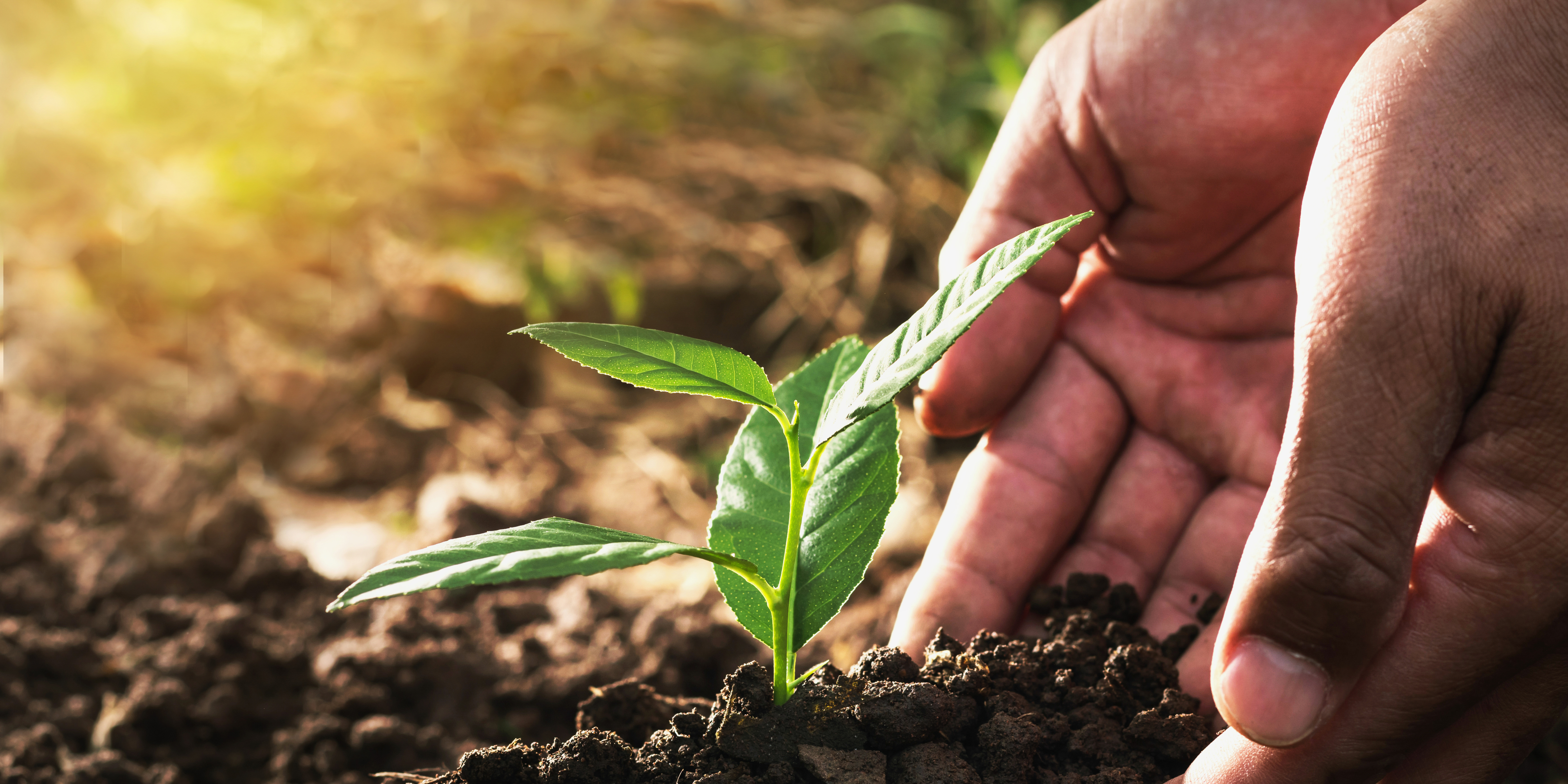 ĐỒNG HÀNH TRÊN MỌI HÀNH TRÌNH