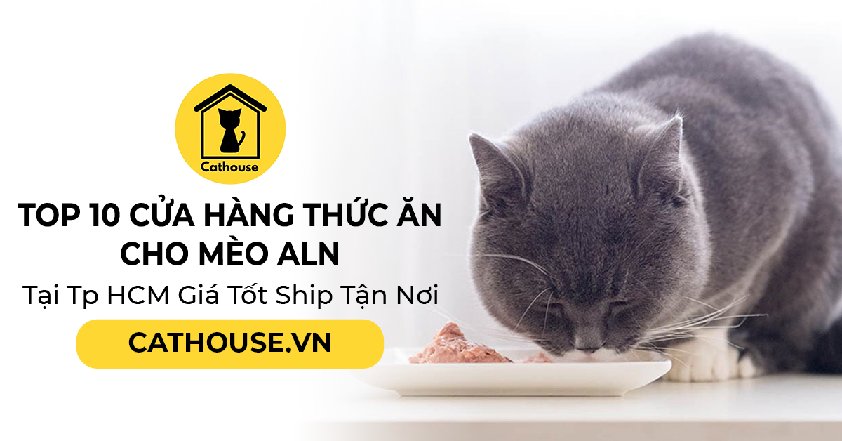 Top 10 Cửa Hàng Thức Ăn Cho Mèo ALN Tại Tp HCM Giá Tốt Ship Tận Nơi