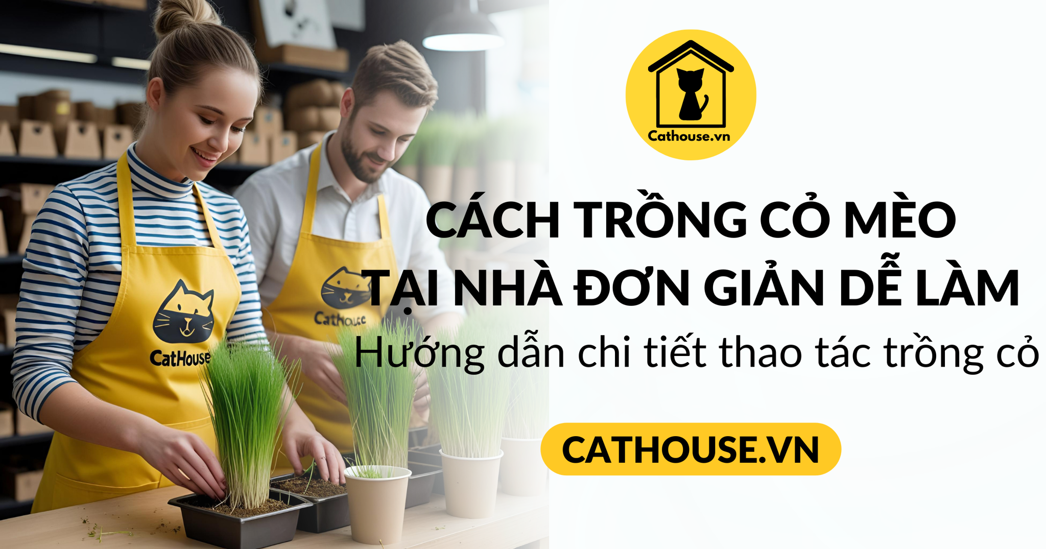 Cách Trồng Cỏ Cho Mèo Ăn Hàng Ngày Tại Nhà Dễ Dàng