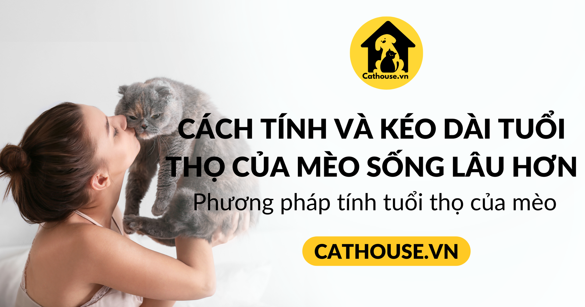 Cách Tính và Kéo Dài Tuổi Thọ của Mèo Sống Lâu Hơn