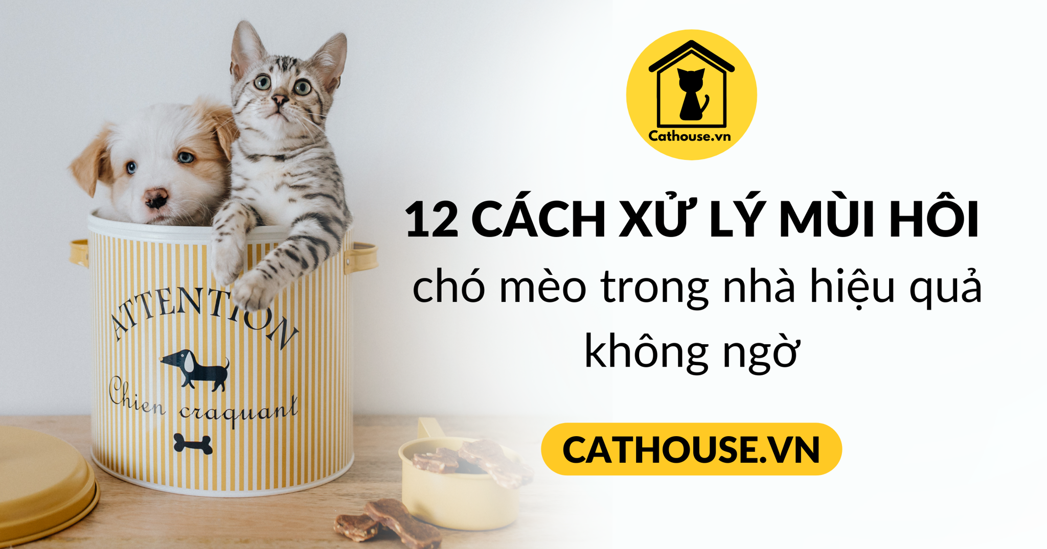 12 cách khử mùi hôi chó mèo trong nhà hiệu quả không ngờ