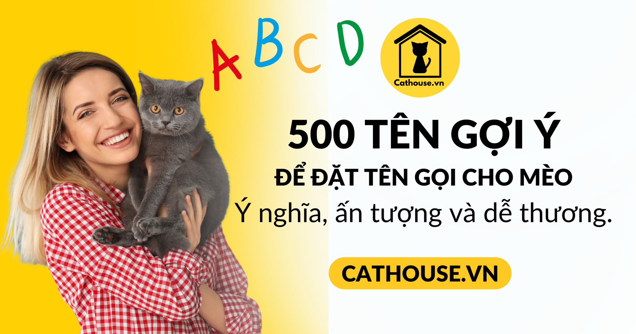 Top 500 tên đặt cho mèo hay, ý nghĩa và dễ thương nhất