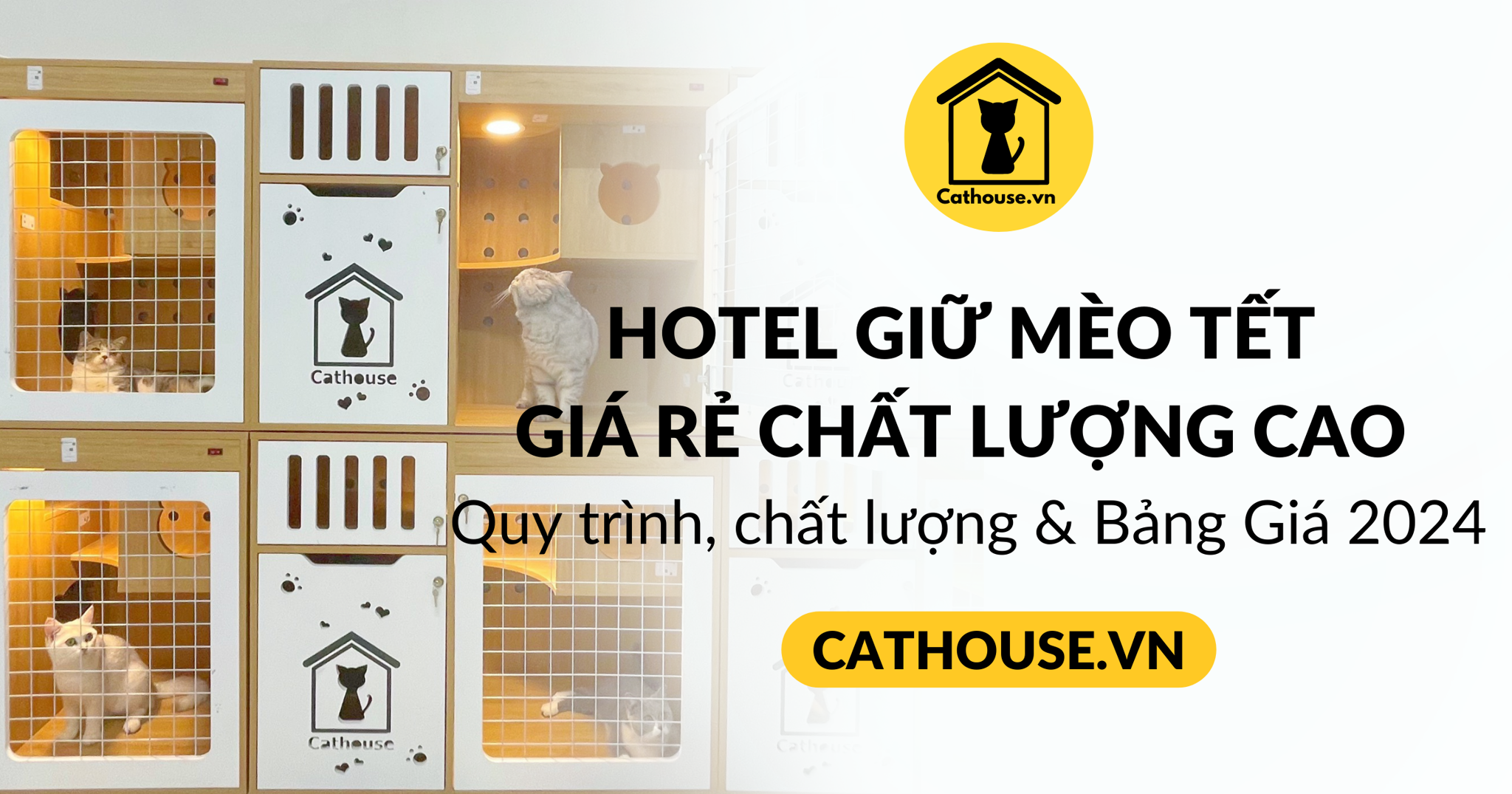 Dịch vụ gửi mèo hotel ngày Tết tại CatHouse - Nơi lý tưởng cho thú cưng của bạn