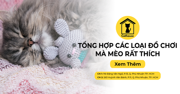 Tổng Hợp Các Loại Đồ Chơi Mà Mèo Rất Thích