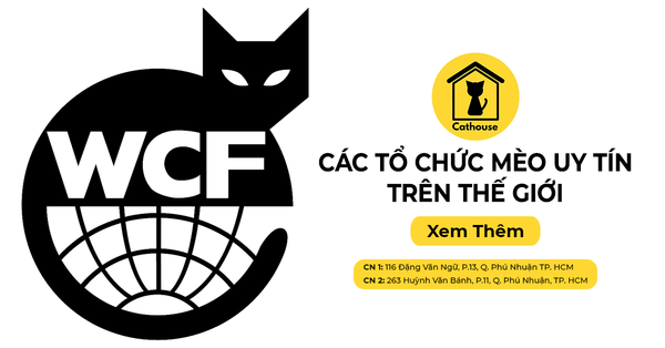 Các Trại Mèo Uy Tín Trên Thế Giới. Các Tổ Chức Mèo Trên Thế Giới