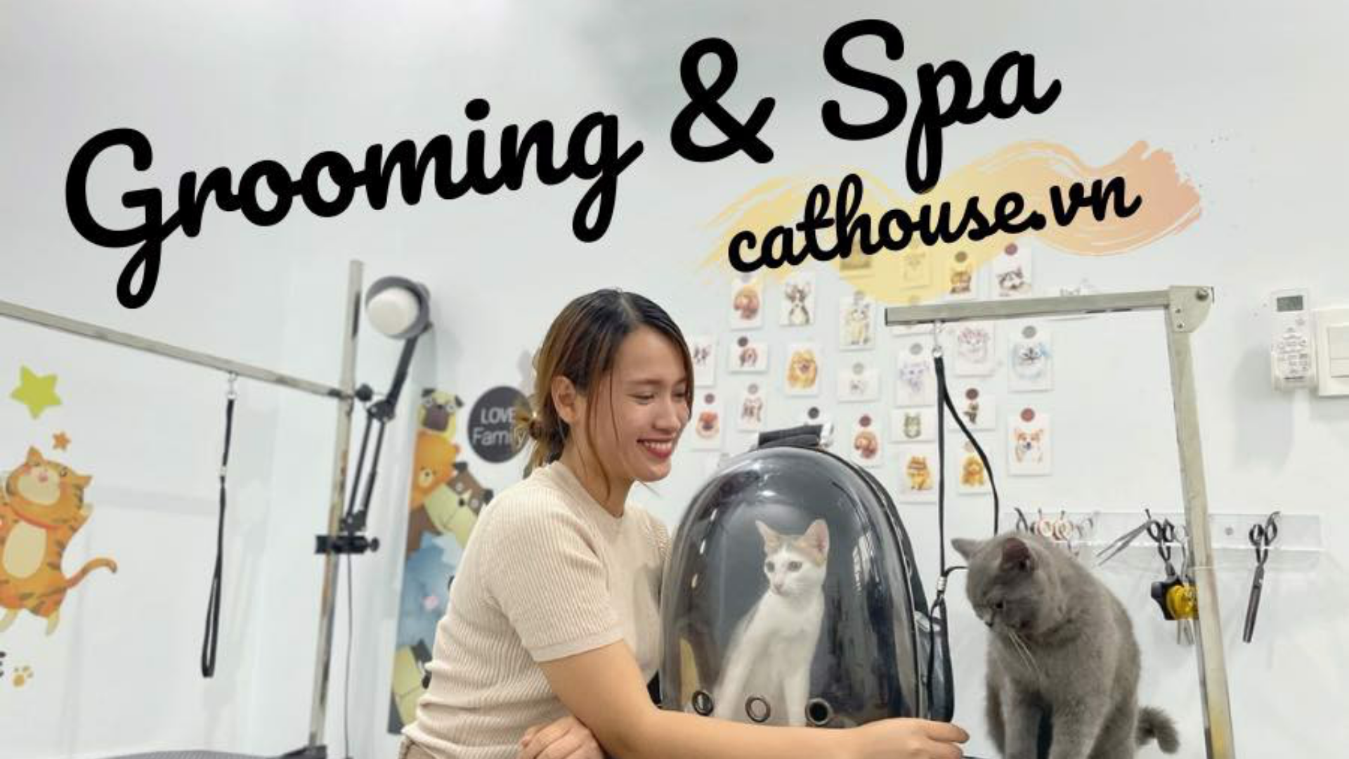 Quy Trình Dịch Vụ Spa Tắm, Vệ Sinh Tổng Quát Cho Các Bạn Chó Mèo Tại Cathouse Phú Nhuận TP.HCM