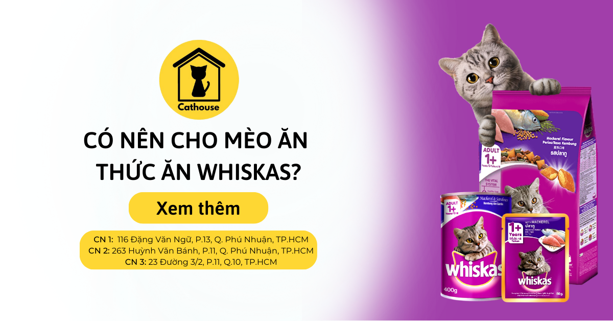 Có Nên Cho Mèo Ăn Thức Ăn Whiskas?