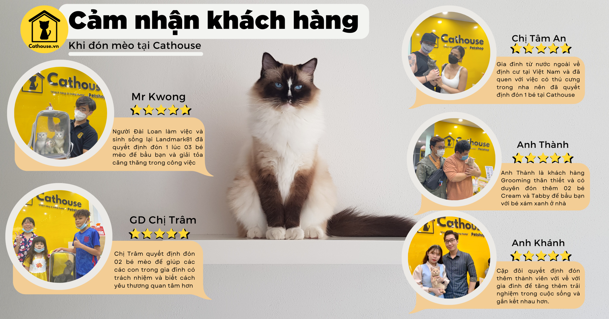 Hình ảnh khách hàng mua mèo tại Cathouse