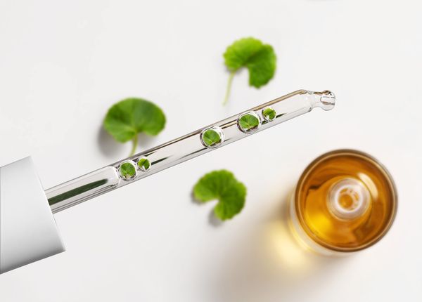 CHỮA LÀNH LÀN DA TỪ RAU MÁ MADAGASCAR NGUYÊN BẢN