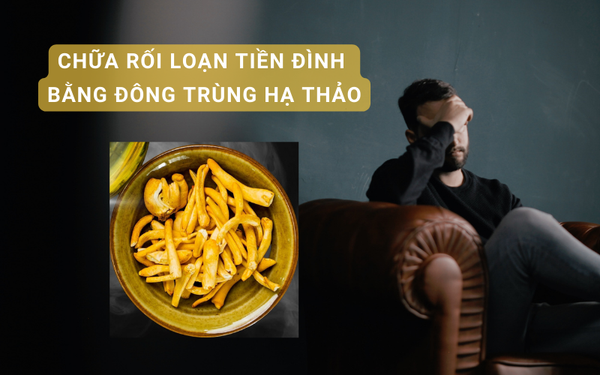 chua roi loan tien dinh bang dong trung ha thao